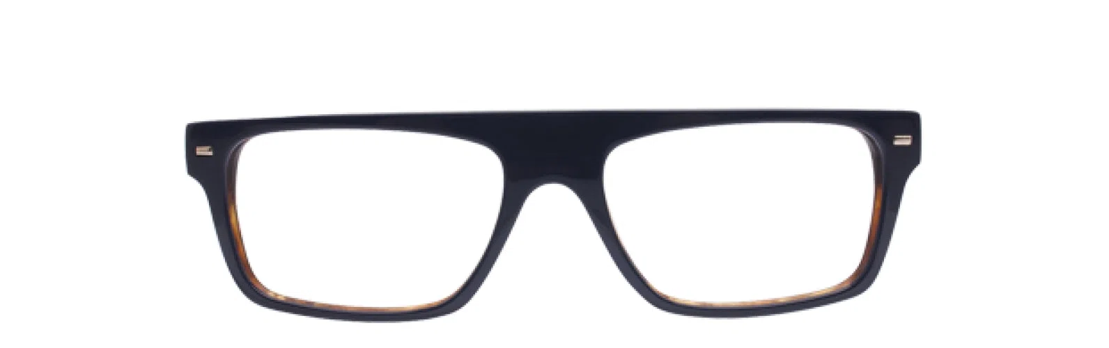 Randy Jackson RJX102 Eyeglasses - Navy Tort - view 3